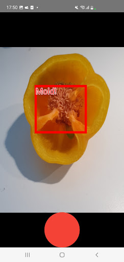 Android application FoodPatrol AI screenshort