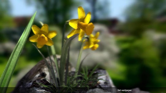 Nature Live Spring Flowers XL Ditambal APK 4