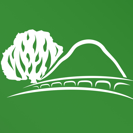 IPB Vitória logo