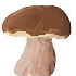 Mushroomizer1.8.3