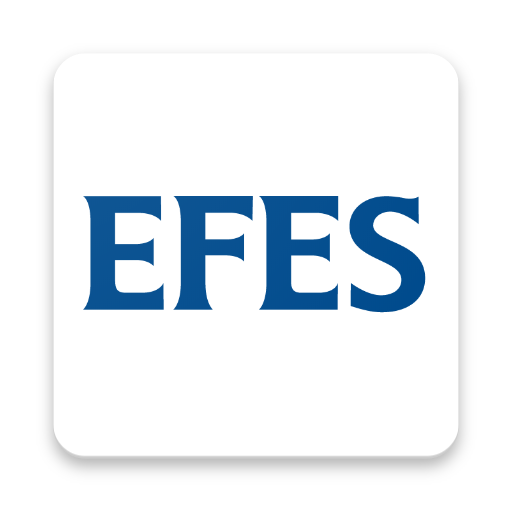 Efes Market Audit logo