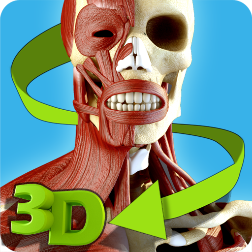 Easy Anatomy 3D - learn anatom 5.0 Icon