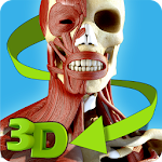 Cover Image of ダウンロード Easy Anatomy 3D - learn anatom  APK
