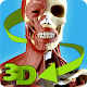 Easy Anatomy 3D - learn anatomy Laai af op Windows