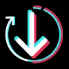 TT Video Downloader icon