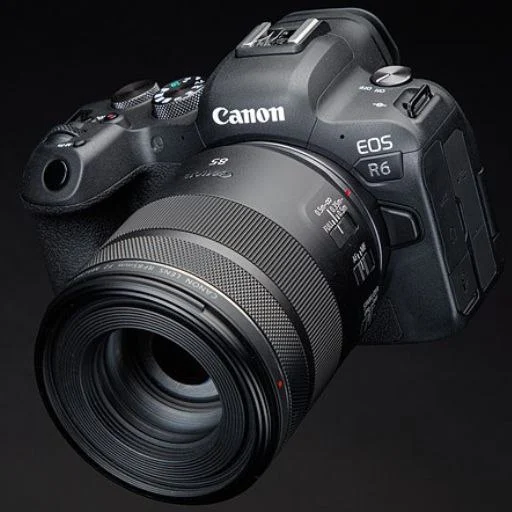 Canon EOS R6 Guide logo