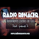 RADIO RENACER SC Download on Windows