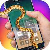 Screen Snake: Snake Screen Phone (New) icon