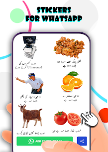 Funny Urdu Stickers For Whatsapp WASticker Apk App for Android 4