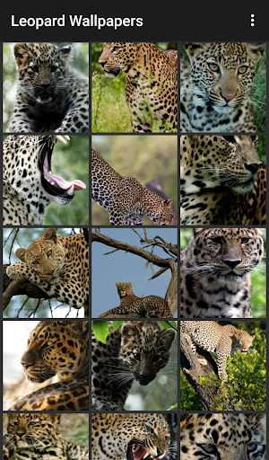 Android application Leopard Wallpapers screenshort