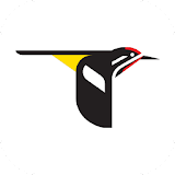 Merlin Bird ID by Cornell Lab icon