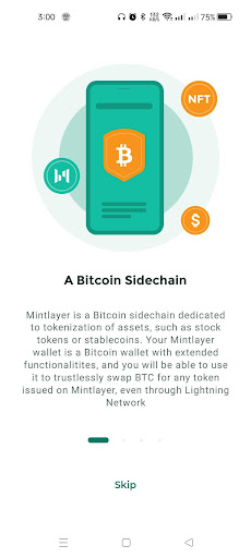 Android application Mojito wallet screenshort