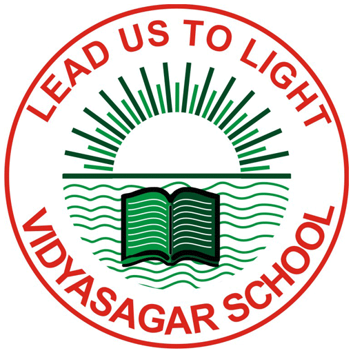 VIDYASAGAR SCHOOL BARAUT logo