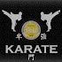 Learn karate