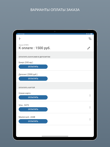 Химчистка Премиум