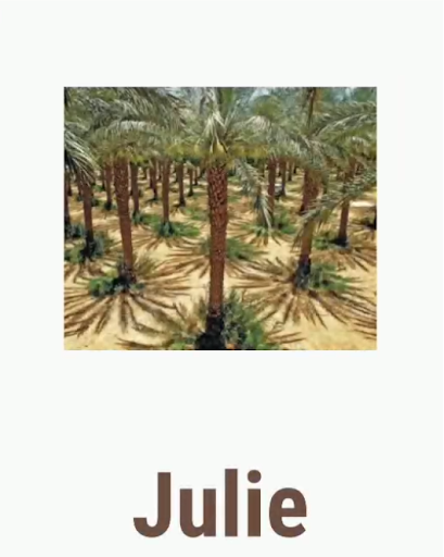 Android application Julie screenshort