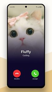 Cat Fake Call
