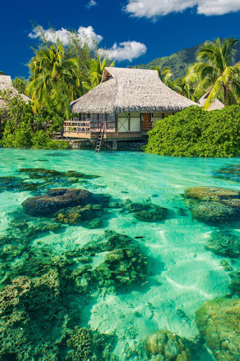 Nature Wallpaper 4k Screen 3