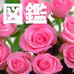 Cover Image of Tải xuống 植物図鑑 1.14 APK