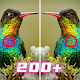 Find the differences and Spot it 200 levels Download on Windows