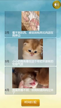 #2. 猫的一生重启模拟器 (Android) By: HappySprite