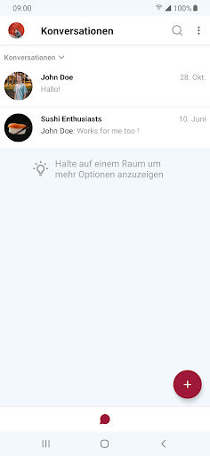 Mein Liebenau Chat Screen 3