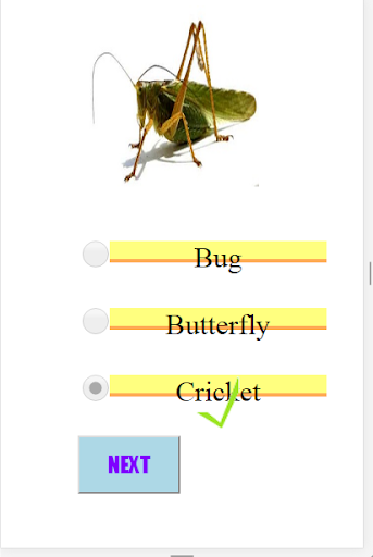 Insect World Knowledge Quiz