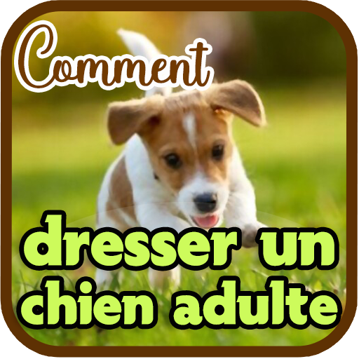 Comment dresser un chien adult logo