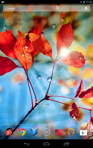 Rains Live Wallpaper Screen 3