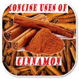 Concise Benefits Of Cinnamon icon