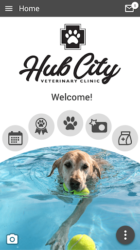Android application Hub City Vet screenshort