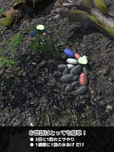 ダンゴムシといっしょ - 癒し系放置育成ゲーム Screenshot