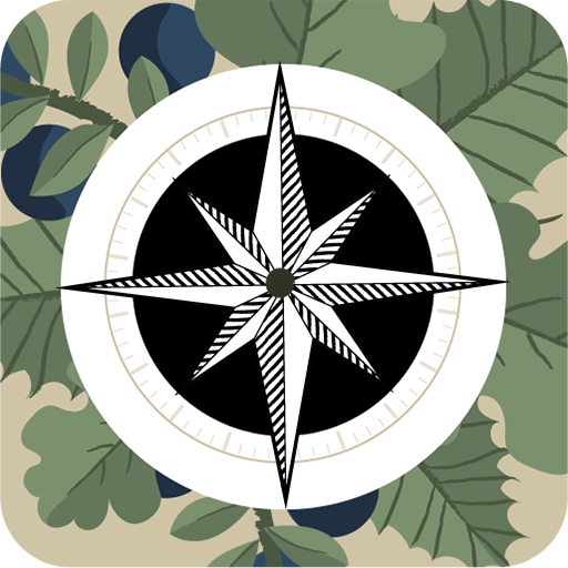 La Boussole logo