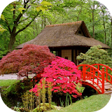 Japanese Garden Design Ideas icon