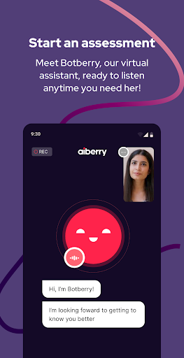 Aiberry Screen 3