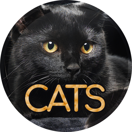 Wallpapers 4K with cats logo