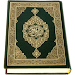 Al-Quran (Pro)