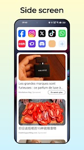O Launcher Premium 5