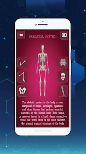 3D Female Anatomy: 3D Bones Skeleton & Organs