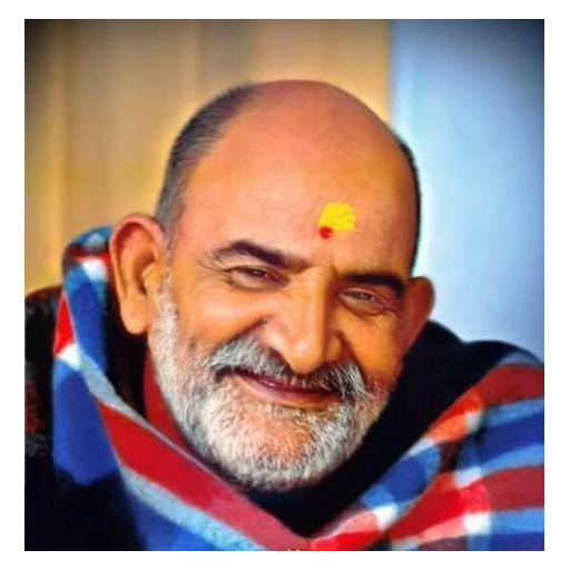 Neem Karoli Baba (Pro) logo