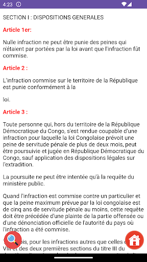 Code Pénal Congolais Screen 3