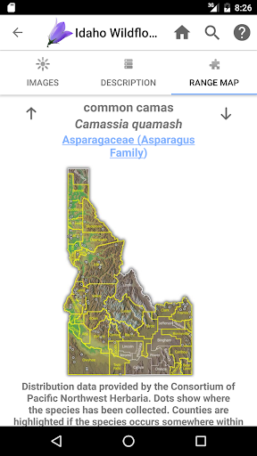 Screenshot of Idaho Wildflowers