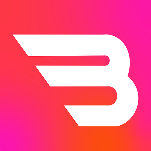 Bigmall Online Shopping App logo
