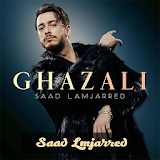 Saad Lmjarrad 2018 - اغاني سعد المجرد 2018 بدون نت icon