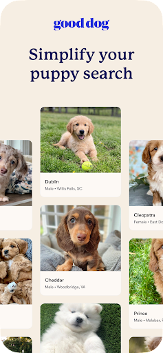 Good Dog: Find Your New Puppy screenshot