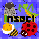 Insect Concentration (game) icon