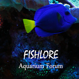 Fish Lore Aquarium Forum icon