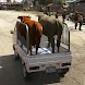 Farm Animals Transport Games