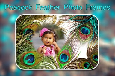 Peacock Feather Photo Frames