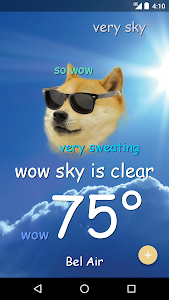 Weather Doge Unknown